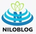 شبكه اجتماعيNGO